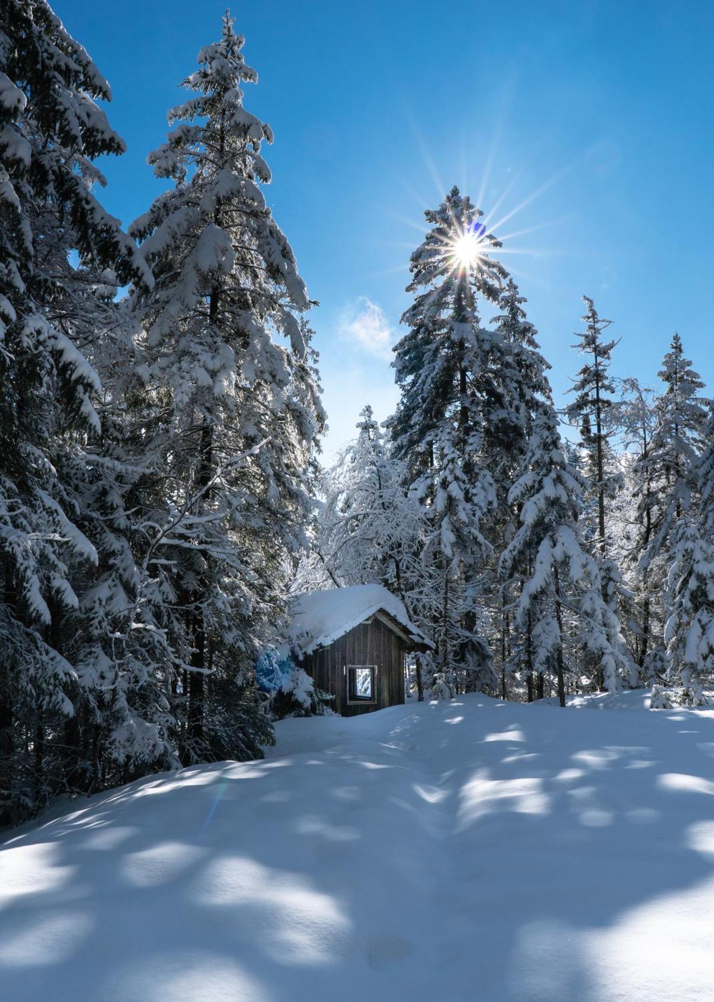 Ferienwohnung Bergpfote - Hund Herzlich Willkommen Шайдегг Екстер'єр фото